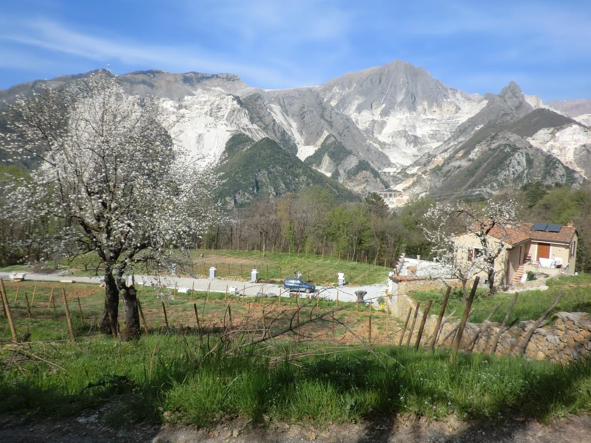 Galleria Ars Apua Bed and Breakfast Καρράρα Εξωτερικό φωτογραφία